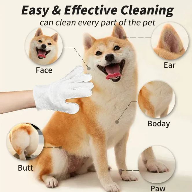 Pet Grooming Gloves & Wipes – Waterless Cleaning for Dogs & Cats