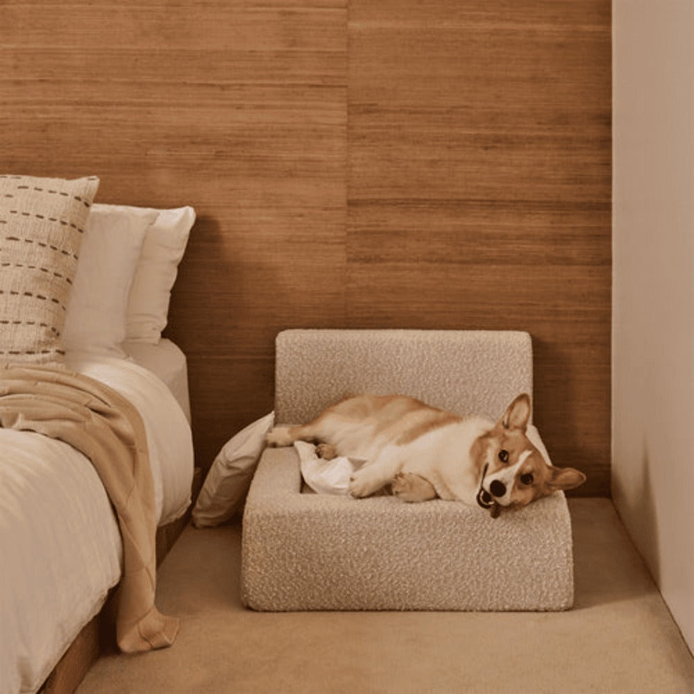 Dog Bed – Rectangular Bolster Pet Sofa Bed for Dogs & Cats