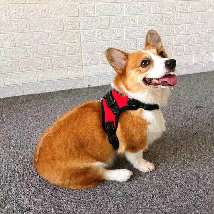 Dog Harness Vest – Rope Chest Vest for Small Dogs