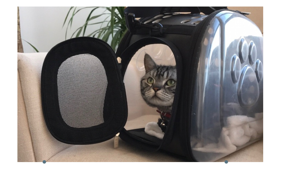 Cat Backpack – Transparent Space Capsule Carrier for Pets