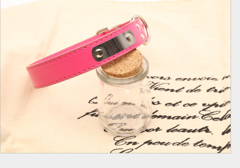 Personalized Dog Collar – Custom Name Collar for Dogs