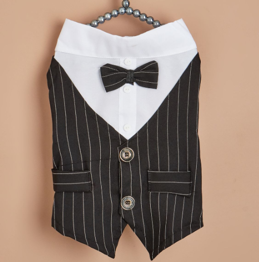 Dog Shirt – Simple Fashionable Shirt Suit for Dogs