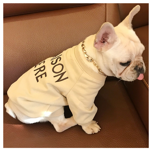 Dog Sweater – Embroidered Terry Cotton Sweater for Dogs