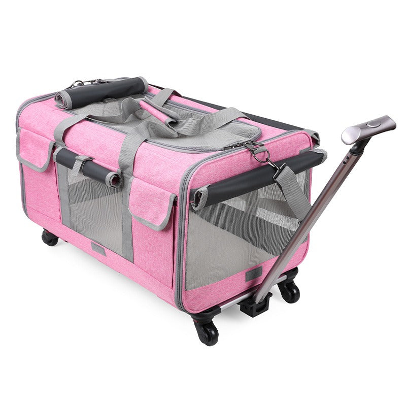 Cat Carrier – Foldable Travel Bag for Cats & Small Dogs
