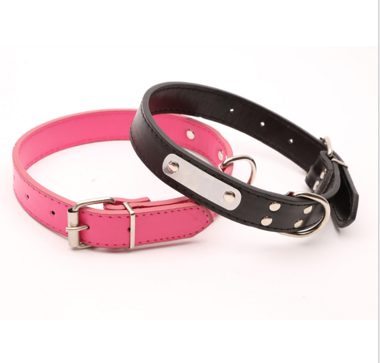 Personalized Dog Collar – Custom Name Collar for Dogs
