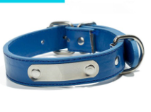 Personalized Dog Collar – Custom Name Collar for Dogs