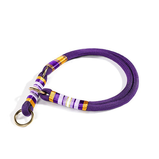 Dog Collar & Leash – Anti-Escape Collar with Hand Rope