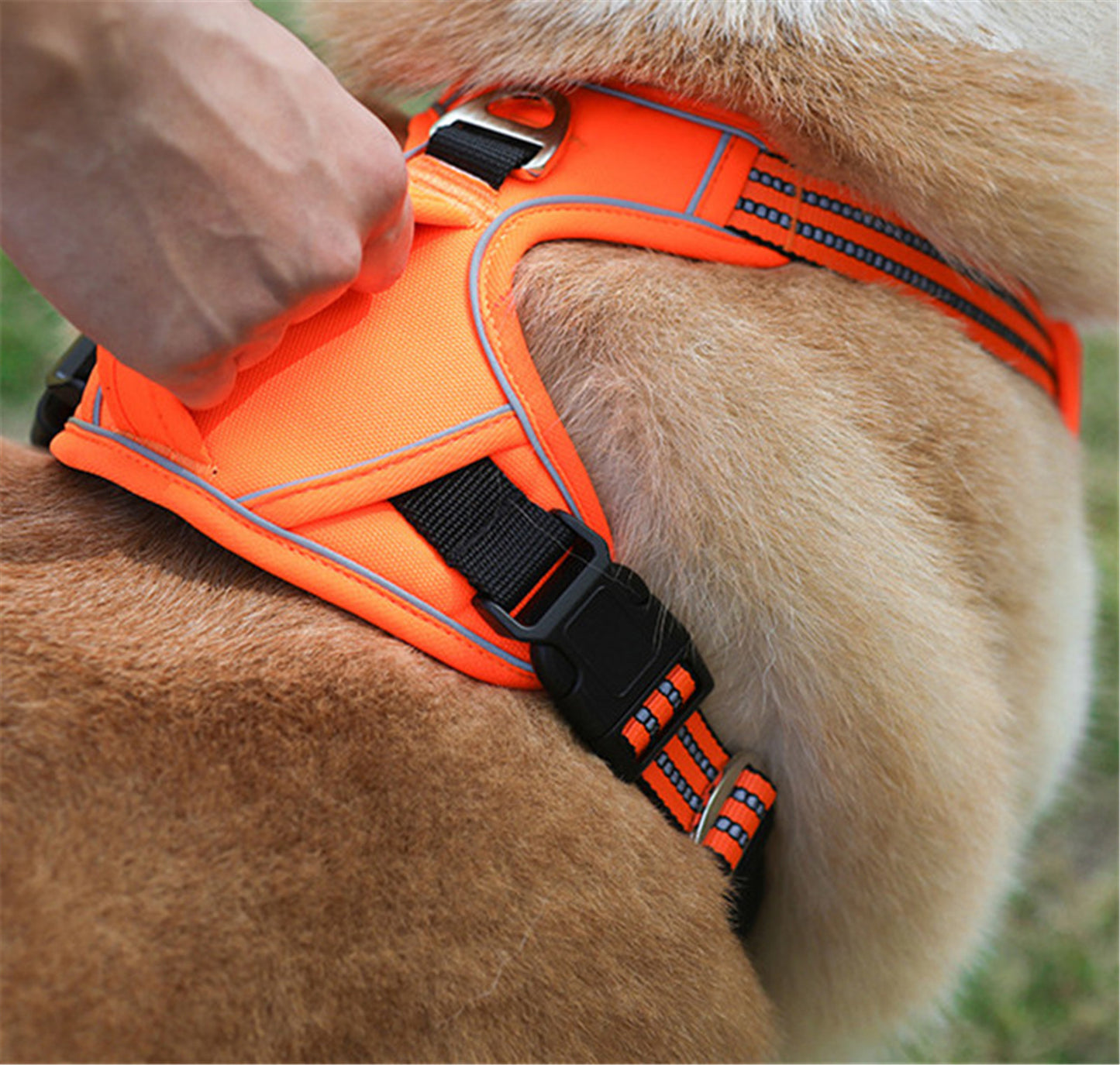 Dog Harness – Durable Waterproof Harness with Control Handle