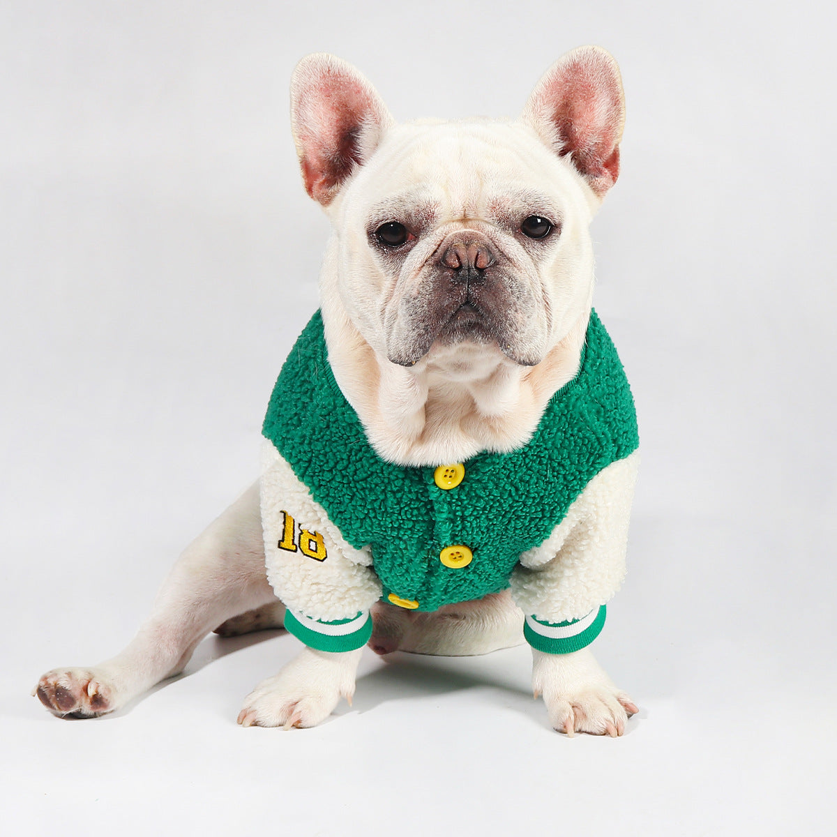 Dog Coat – Thick Winter Baseball Jacket for Dogs