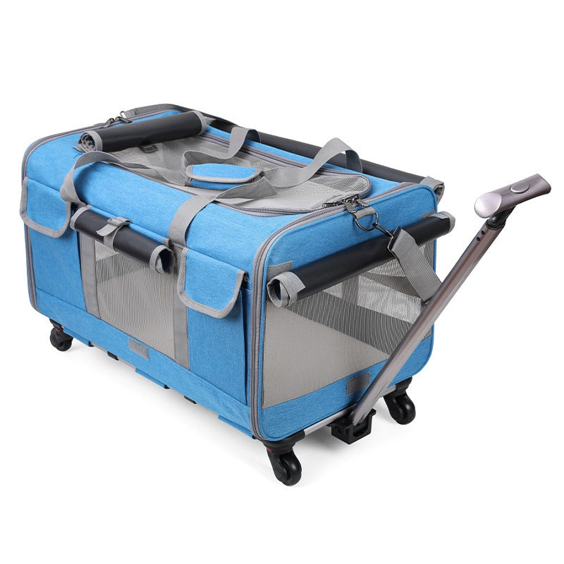 Cat Carrier – Foldable Travel Bag for Cats & Small Dogs