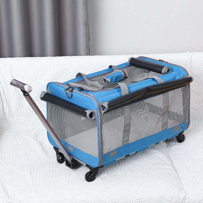 Cat Carrier – Foldable Travel Bag for Cats & Small Dogs