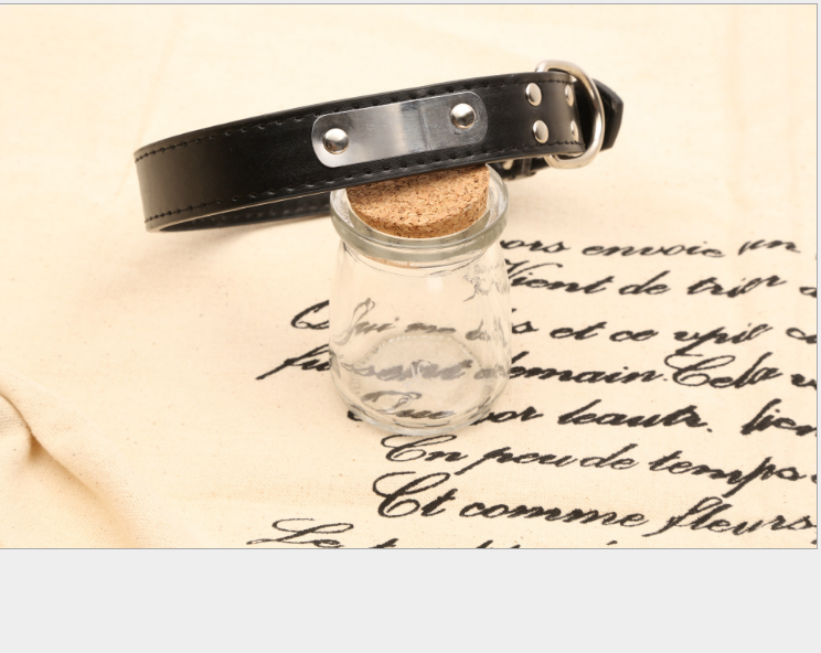 Personalized Dog Collar – Custom Name Collar for Dogs