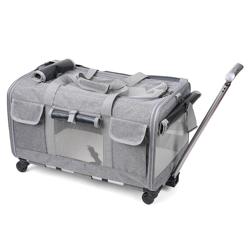 Cat Carrier – Foldable Travel Bag for Cats & Small Dogs