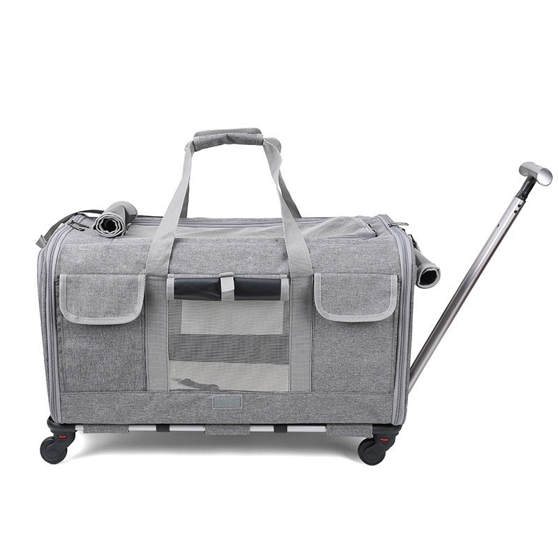 Cat Carrier – Foldable Travel Bag for Cats & Small Dogs