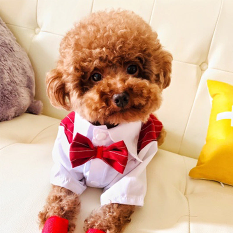 Dog Shirt – Simple Fashionable Shirt Suit for Dogs
