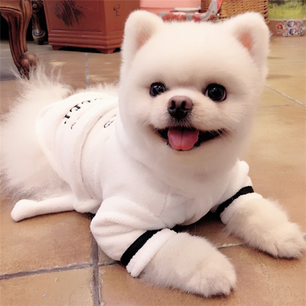 Dog Bathrobe – Hooded Pajamas & Drying Robe for Dogs