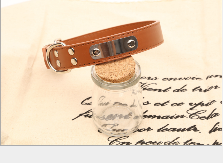 Personalized Dog Collar – Custom Name Collar for Dogs