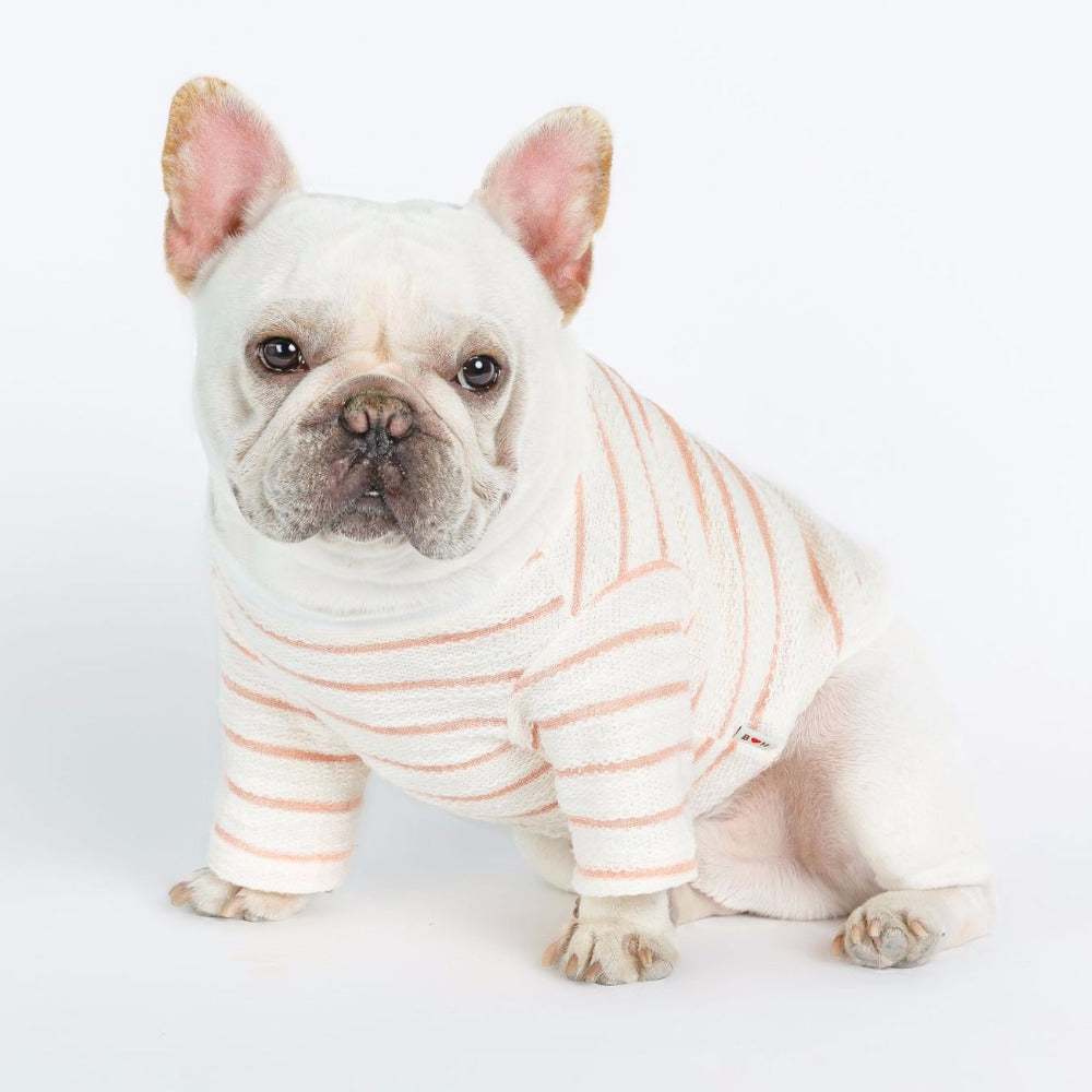 Dog Shirt – Embroidered T-Shirt for Small Dog Breeds