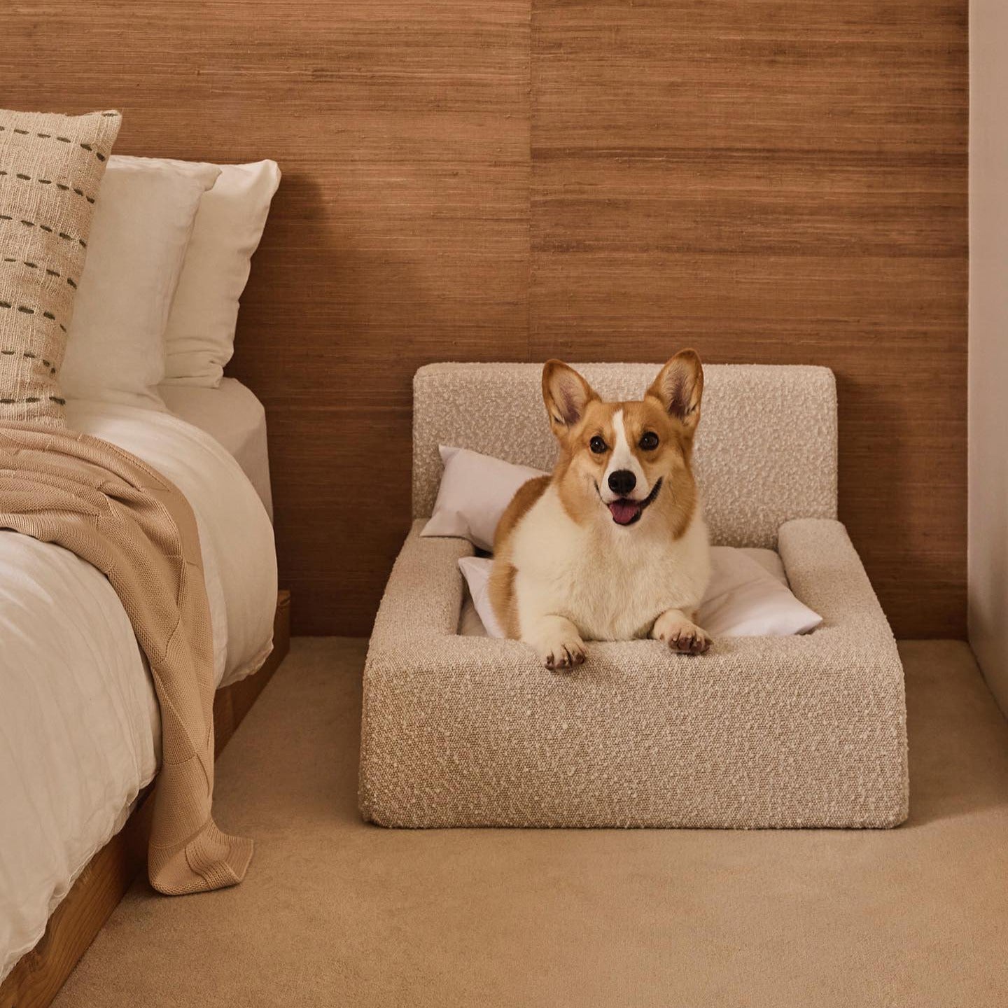 Dog Bed – Rectangular Bolster Pet Sofa Bed for Dogs & Cats