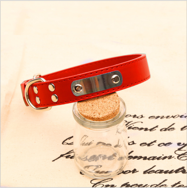 Personalized Dog Collar – Custom Name Collar for Dogs
