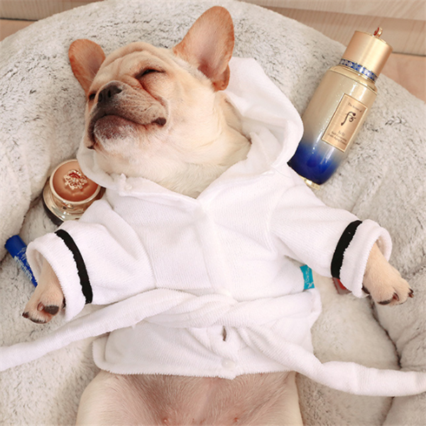 Dog Bathrobe – Hooded Pajamas & Drying Robe for Dogs