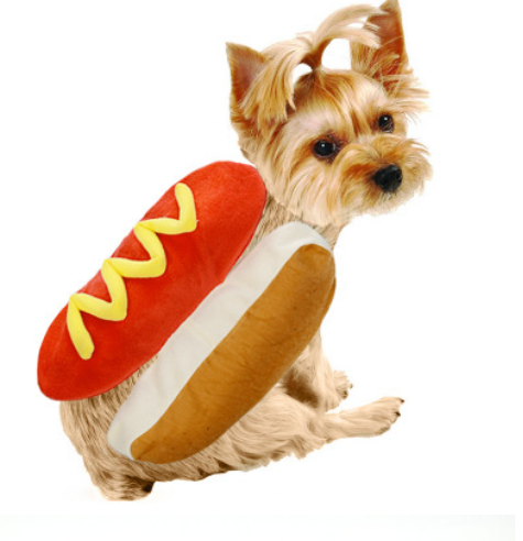Dog Costume – Funny Hot Dog & Burger Outfit for Pets