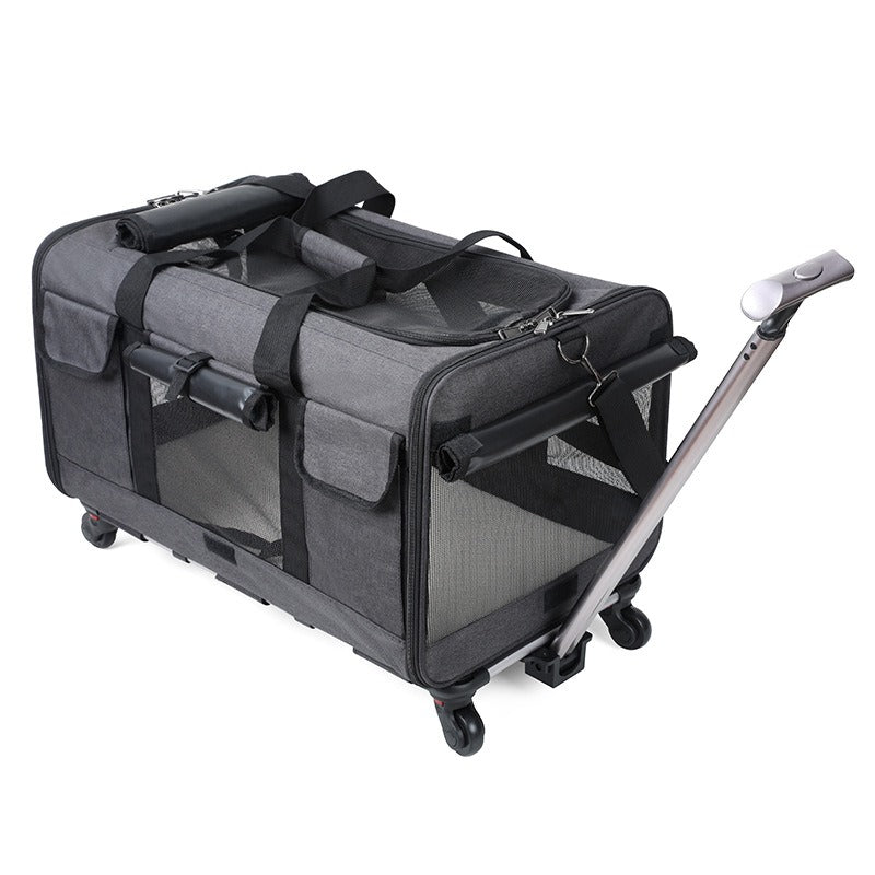 Cat Carrier – Foldable Travel Bag for Cats & Small Dogs
