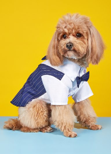 Dog Shirt – Simple Fashionable Shirt Suit for Dogs