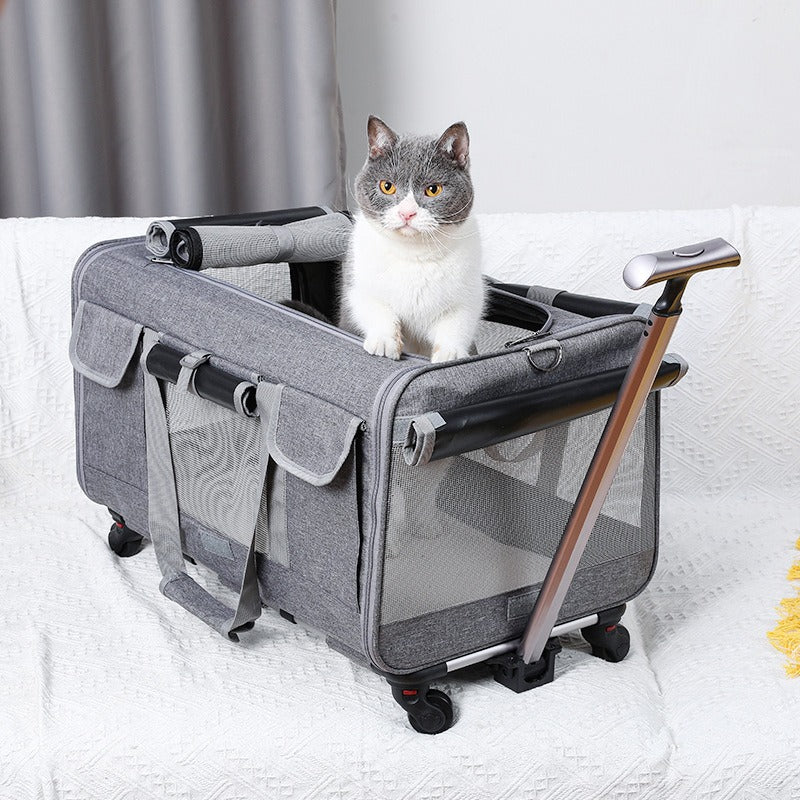 Cat Carrier – Foldable Travel Bag for Cats & Small Dogs