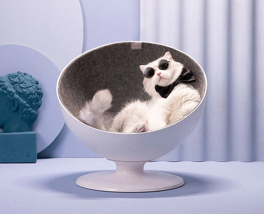 Cat Bed Hammock – Rotating Elevated Cat Bed for Indoor Cats