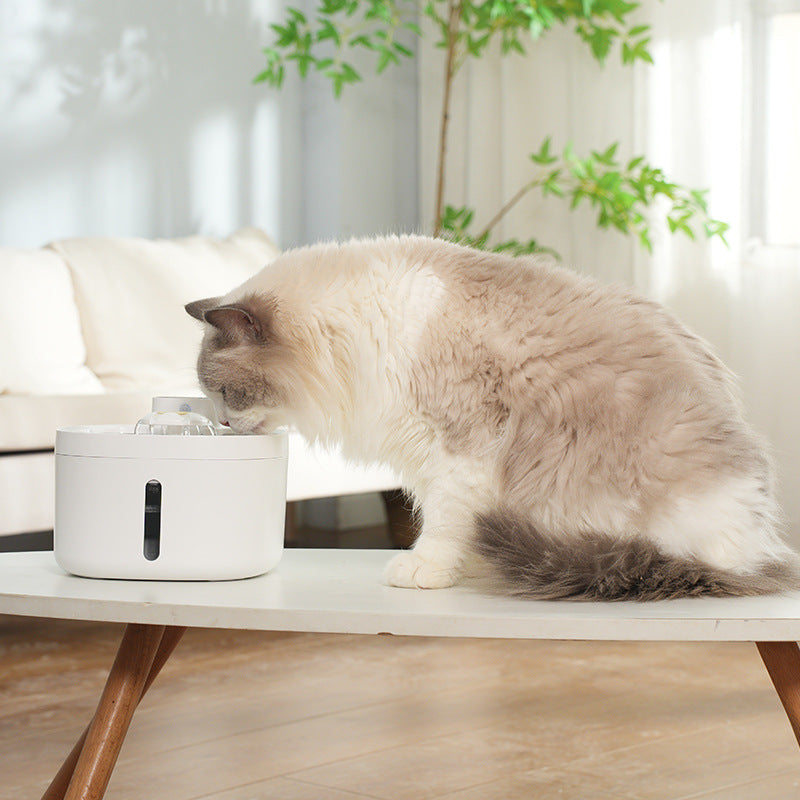 Cat Water Fountain – Wireless Smart Dispenser with Steel Bowl