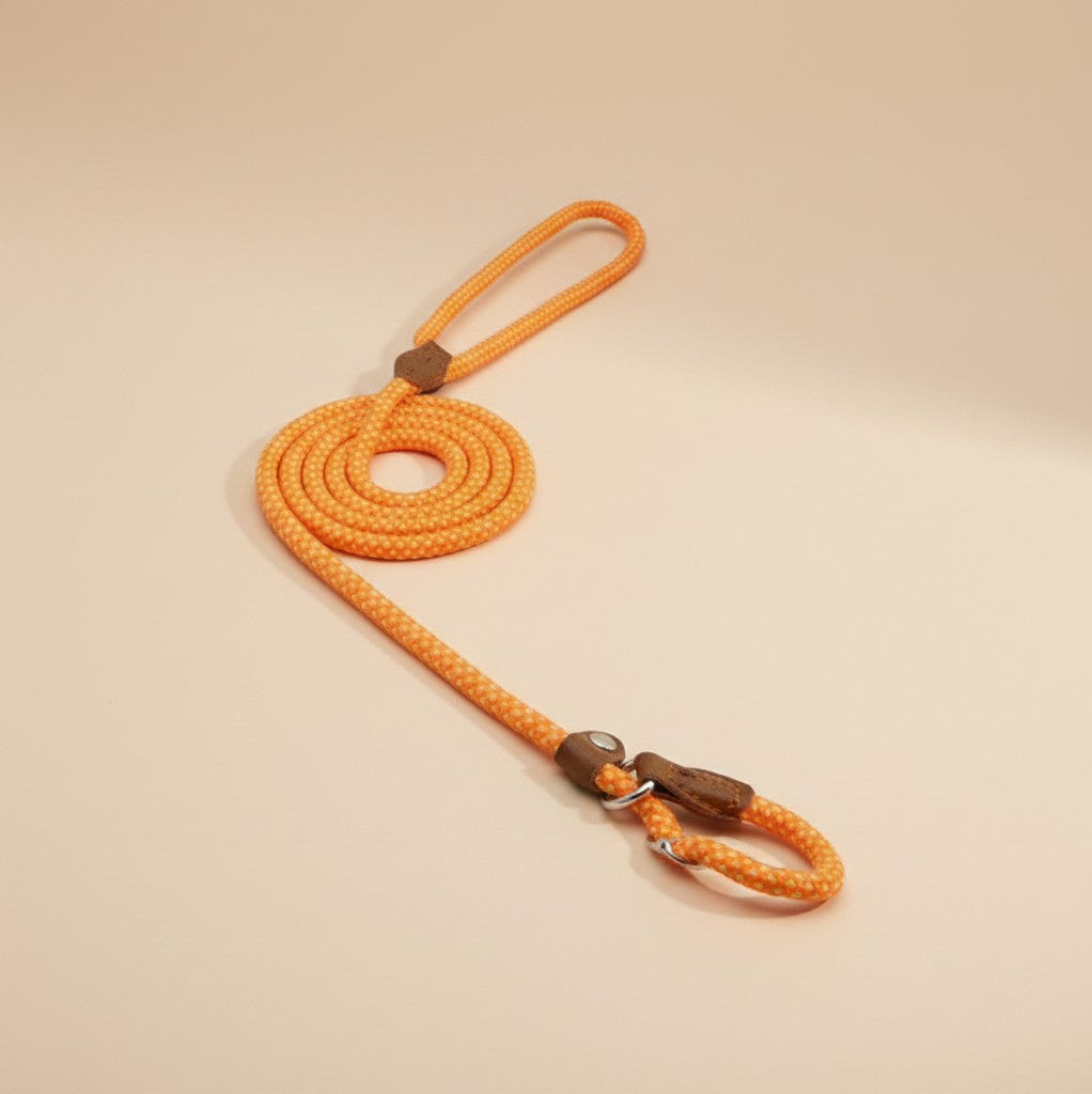 Nuzzle & Co orange woven nylon dog leash with brown leather accents and secure metal hardware on a neutral background
