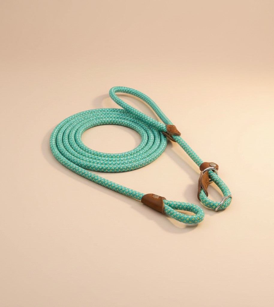 Nuzzle & Co teal woven nylon dog leash with brown leather accents and secure metal hardware on a neutral background